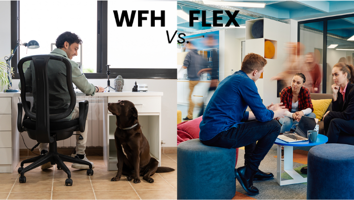 Work From Home vs. Flex Office Environment