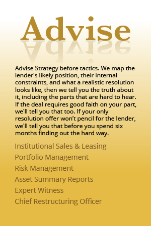 Advise: Strategy before tactics. We map the lender's likely position, their internal constraints, and what a realistic resolution looks like, then we tell you the truth about it, including the parts that are hard to hear. If the deal requires good faith on your part, we'll tell you that too. If your only resolution offer won’t pencil for the lender, we'll tell you that before you spend six months finding out the hard way.