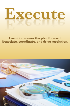 Execution moves the plan forward. Negotiate, coordinate, and drive resolution.